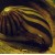 Neritina sp. Brown zebra - Sraigė Brown zebra