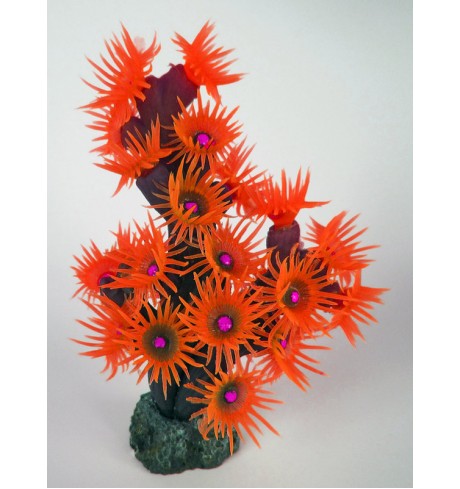 Spalvotas koralas, 10x6x12 cm