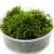 Christmas moss samana, 1 vnt (užsakoma prekė)