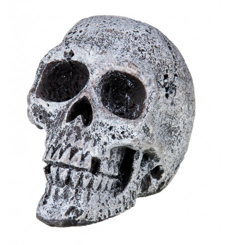 Dekoracija "Kaukolė", 5.5 cm