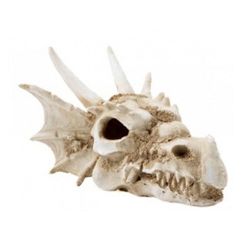 Dekoracija "DRAKONO KAUKOLĖ",18 × 15 × 11.5 cm