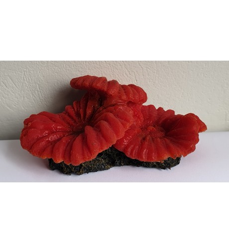 Spalvotas koralas (raudonas), 13.8x10x6 cm