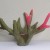 Spalvotas koralas (pilkas), 22x15.5x12.5 cm