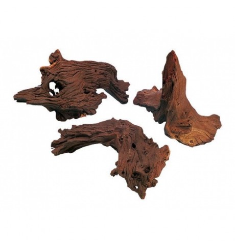 Natūrali šaka Mangroven Wurzel, 20-25 cm IŠPARDUOTA